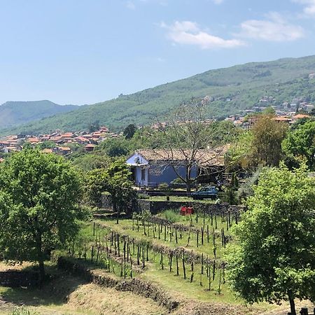 Alberto'S Mt.Etna B&B Zafferana Etnea Exterior photo