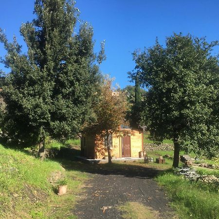 Alberto'S Mt.Etna B&B Zafferana Etnea Exterior photo