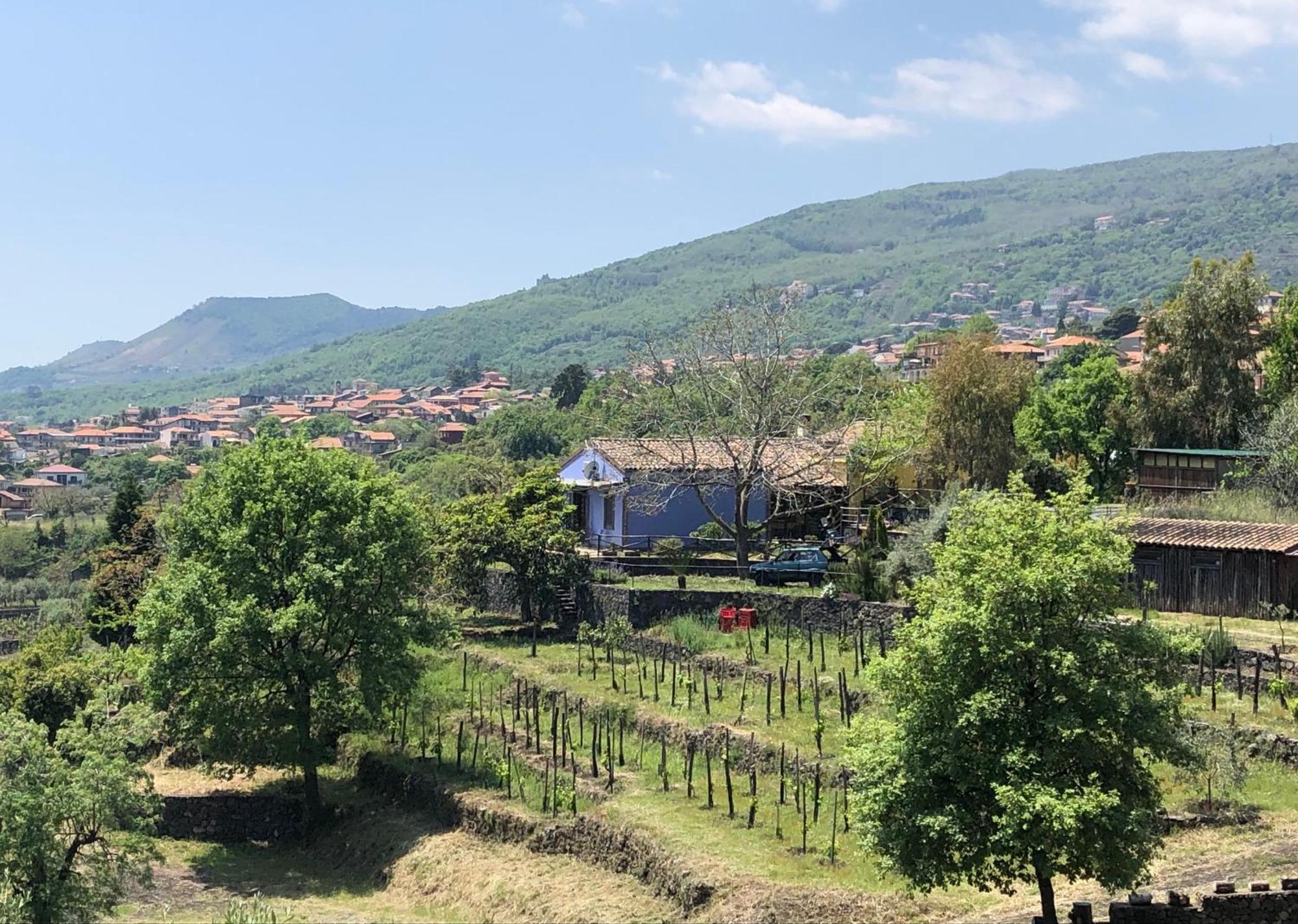 Alberto'S Mt.Etna B&B Zafferana Etnea Exterior photo