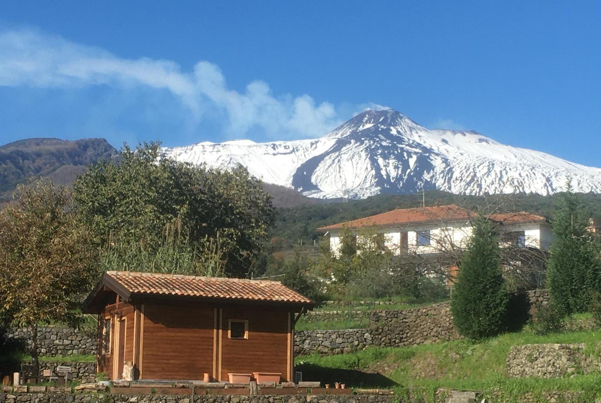 Alberto'S Mt.Etna B&B Zafferana Etnea Room photo