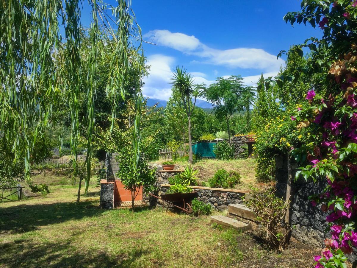 Alberto'S Mt.Etna B&B Zafferana Etnea Exterior photo