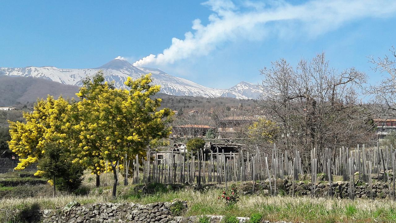 Alberto'S Mt.Etna B&B Zafferana Etnea Exterior photo