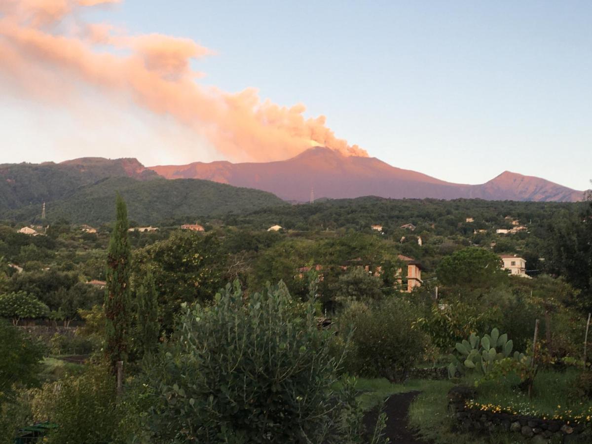 Alberto'S Mt.Etna B&B Zafferana Etnea Exterior photo
