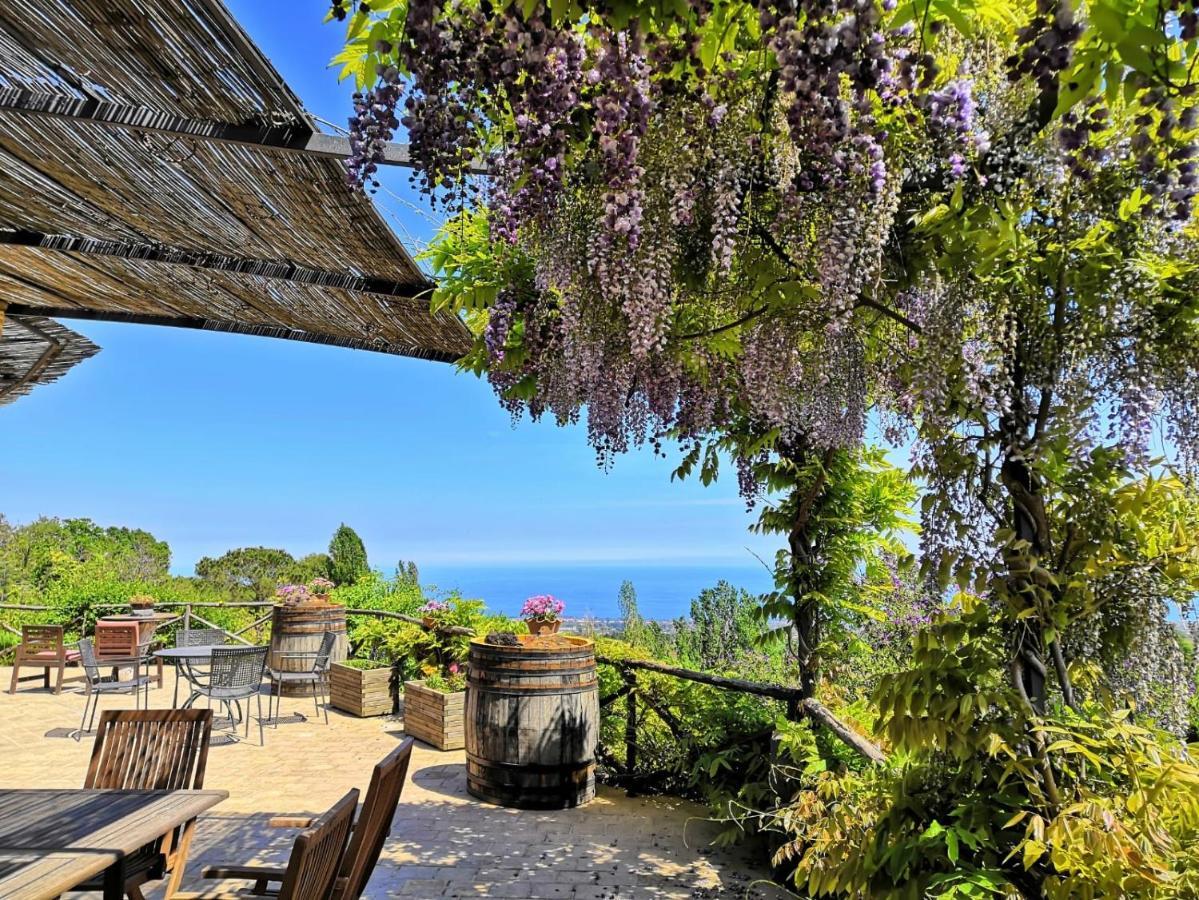 Alberto'S Mt.Etna B&B Zafferana Etnea Exterior photo